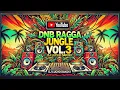 Download Lagu DNB RAGGA JUNGLE LEGEND SELECTION VOL 3