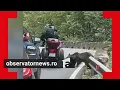 Download Lagu Momentul în care un turist e muşcat de urs pe Transfăgărăşan. I-a dărâmat motocicleta