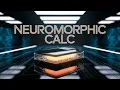ASMR Coding - Build a Beautiful Neumorphic Calculator with React Next js Tailwind in 20 Minutes