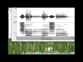 PRAAT 5 Cleaning up the spectrogram