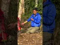 Download Lagu Tayamum untuk pendaki gunung