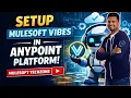 Setup MuleSoft Vibes In Anypoint Platform Sravan Lingam