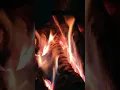 Download Lagu Panas...!!! Api itu sangat panas!!! Jangan bermain api kamu bisa terbakar !!!