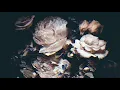 CRIS TAYLOR - Bre Petrunko (feat DIANA TAGIEVA)