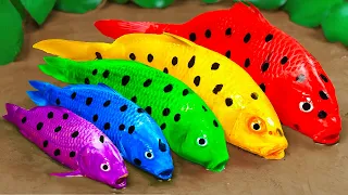 Best Of Small Fish Recipe | MINIATURE Fish Cooking Made EASY with Simple Recipe