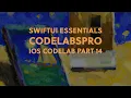 SwiftUI Essentials - iOS Development Basics CodeLab