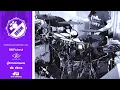 Ashley McBryde - Blackout Betty