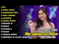 Download Lagu DIKE SABRINA LDR FULL ALBUM 2024 | DIKE SABRINA FULL ALBUM TERBARU 2024 | DANGDUT KOPLO TERBARU 2024