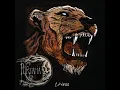 Lioness