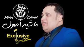 بيومي بيچو   ماشية أصول                                                      دندنها