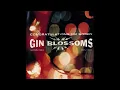 Gin Blossoms - Follow You Down HQ (Audio)