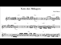 Lagu Xote Dos Milagres - Falamansa SAX ALTO