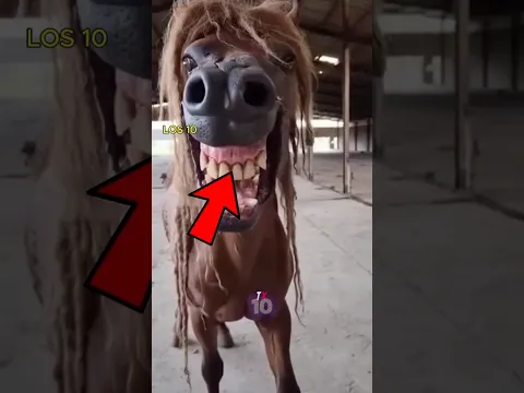 Los 10 CABALLOS Más Aterradores Del Mundo😱 (pt.2)