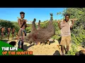 Download Lagu Hadzabe Tribe Successfully Hunt | Our Tradition