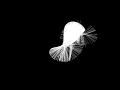10000 double pendulums backwards feat F Chopin