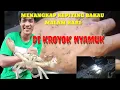 MENANGKAP KEPITING BAKAU MALAM HARI DI KROYOK NYAMUK#berburukepiting #kepitingbakau#nyamuk