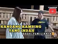 Download Lagu REVIEW KAMBING BERSAMA DEK YAYA