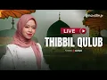 Download Lagu Alma Esbeye - THIBBIL QULUB || Livestream