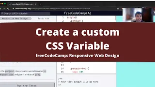 Create a custom CSS Variable Basic CSS freeCodeCamp tutorial