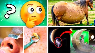 20 Cosas que NO Sabías hace 5 minutos ⏰😲 (18)