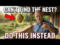 How to Kill Wasps with Boric Acid and Wasp Nest Decoy DIY