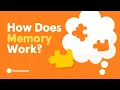 How Does Memory Work From A Neuroscience Researcher