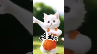 حبيبه ياقمر اغنيه باسم حبيبه 