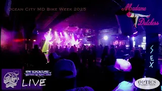 LIVE at The Purple Moose Saloon with Surreal