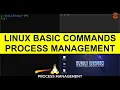 Linux Basic Commands - Process Management