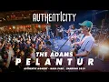 Download Lagu The Adams  - Pelantur \
