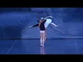 Swan Lake Trailer