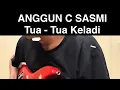 Download Lagu KARAOKE, Tua Tua Keladi, Anggun C Sasmi #karaoke 
