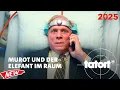 Lagu Tatort Hauptstadt 2025 I MUROT UND DER ELEFANT IM RAUM I Polizei documentation