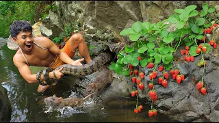 Survival in the forest - Chasing the belly, finding the mouse animal , Eat delicious strawberries