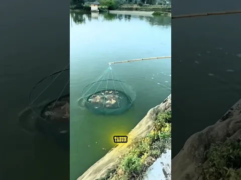 Nenek Menangkap Ikan Pakai Semangka Busuk! 😱#shorts