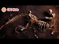 Download Lagu What Happened to the Dinosaurs? | CBC Kids