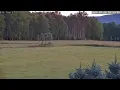 PA Elk Camera 1