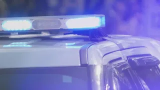 Jacksonville Sheriff's Office expands gang unit that was the focus of protests this year