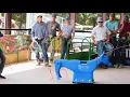 Shorty by Smarty Shorty Jackpot