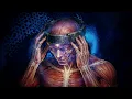 TOOL - The Grudge - Audio Visualizer (Lyrics in CC)