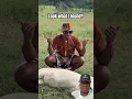 Download Lagu Beautiful while lion, so cute #animalshorts #shorts #trending #viralvideo #subscribe
