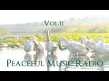 Download Lagu Peaceful Music Radio Vol.11 | 2023.12.24 演奏会のピアノ即興演奏 / Yuusuke