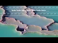 Nzuku - ARP