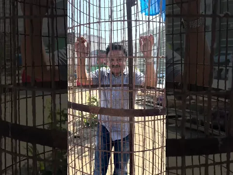 Introducing Indian Actor Giri Dwarakish #giridwarakish #dwarakish #indianactor #ytshorts