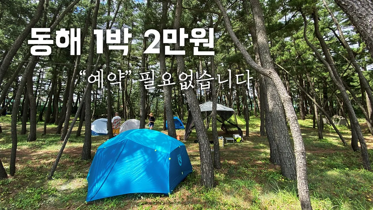 삼척노지캠핑 | 물놀이 피서 다녀왔습니다! | 성수기 자리없을땐 여기 추천합니다 | 원평해변 야영장 | 갈남항 스노쿨링 프리다이빙 サムネイル