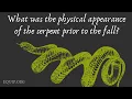 Lagu What was the physical appearance of the serpent prior to the fall?