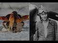 Unsolved Mystery: What Really Happened to Amelia Earhart?