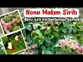 Download Lagu 2 Jenis Bunga Nona Makan Sirih || Merah dan Putih