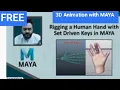 Rigging a human hand with MAYA 3D Animation FREE
