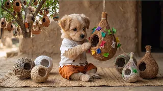 In the scorching heat, a poor little puppy built beautiful nests for many birds to live in. ❤️🐦